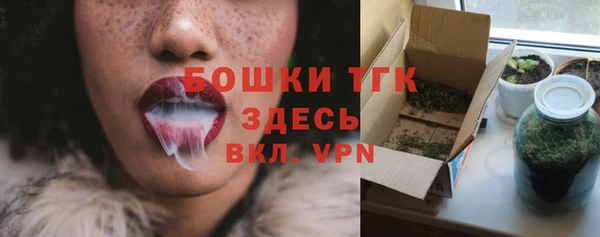 прущий лед Гусь-Хрустальный