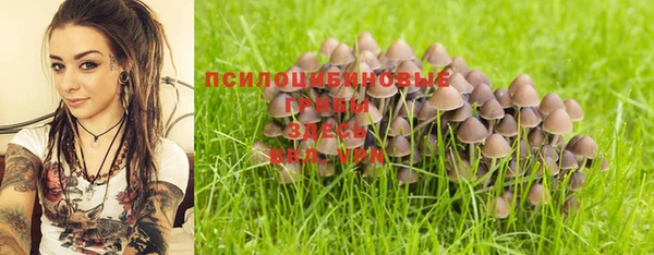 прущий лед Гусь-Хрустальный