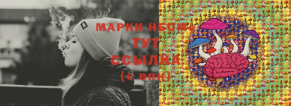 прущий лед Гусь-Хрустальный