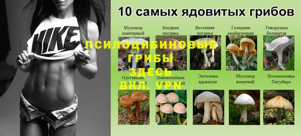 прущий лед Гусь-Хрустальный
