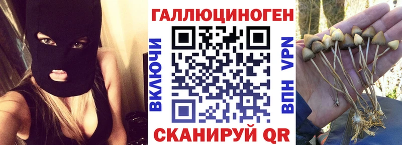 Псилоцибиновые грибы прущие грибы  Дмитровск 